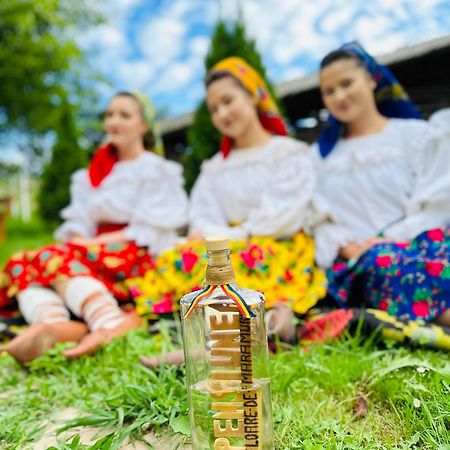 Floare De Maramures 1 Farkasrév Kültér fotó