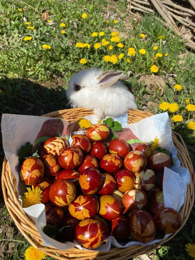 Floare De Maramures 1 Farkasrév Kültér fotó