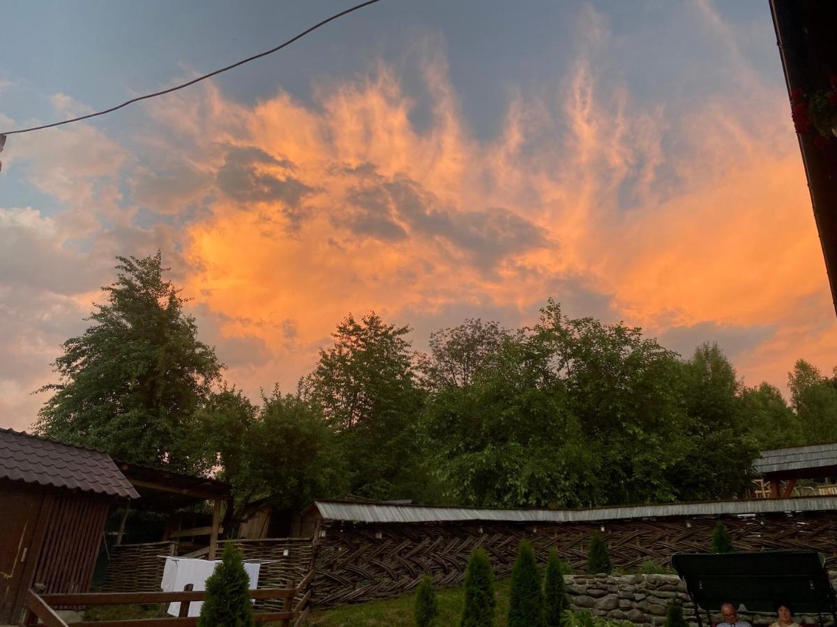 Floare De Maramures 1 Farkasrév Kültér fotó