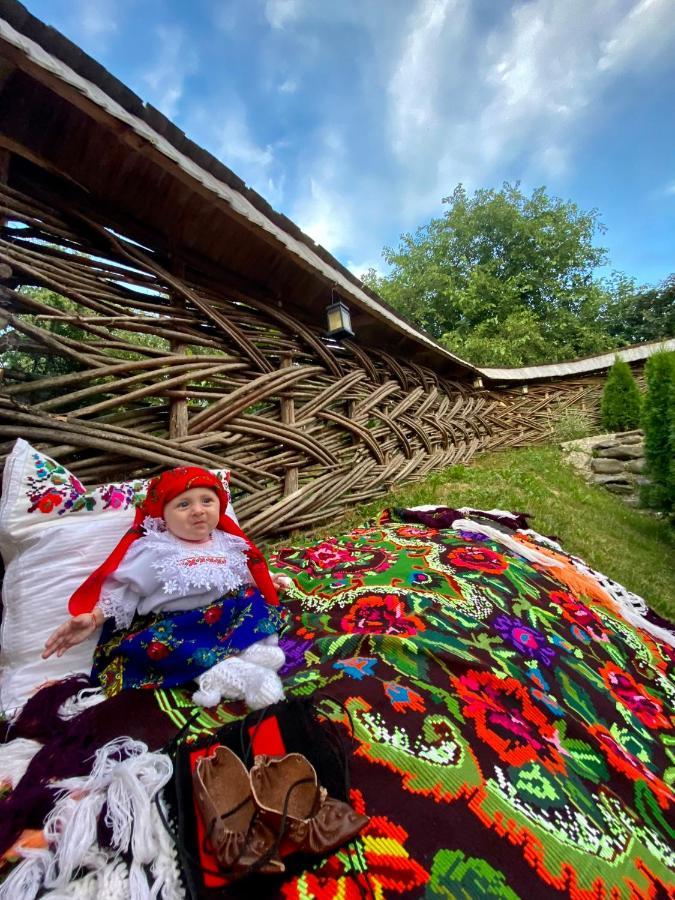 Floare De Maramures 1 Farkasrév Kültér fotó